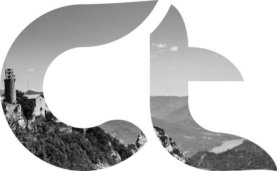 BERGUEDA TELECOM